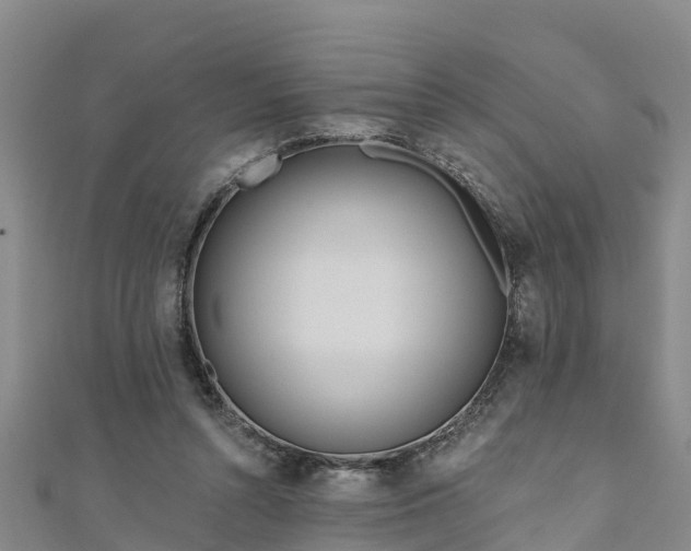 X0000111180352200907081240