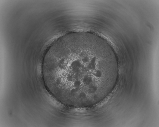 X0000111180353200907081240