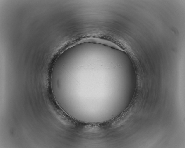 X0000111180354200907081240