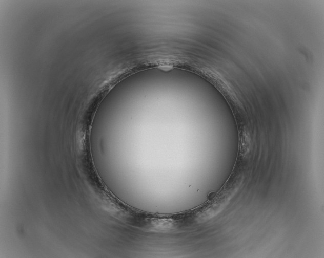 X0000111180355200907081240