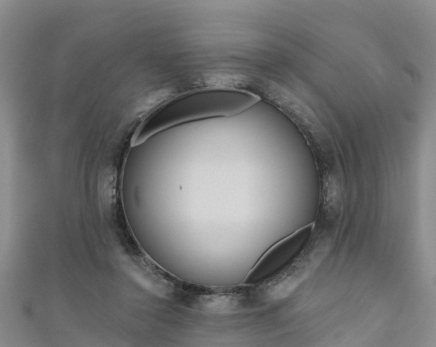 X0000111180356200907081240