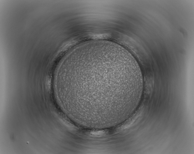 X0000111180357200907081240