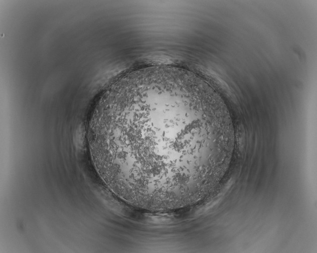 X0000111180359200907081240