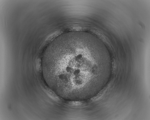 X0000111180361200907081240