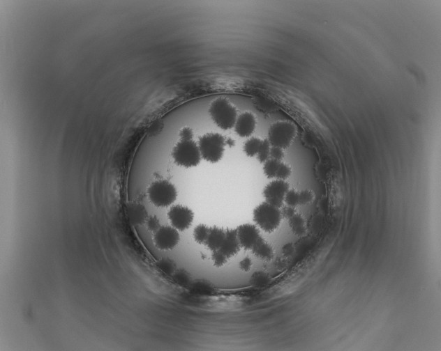 X0000111180363200907081240