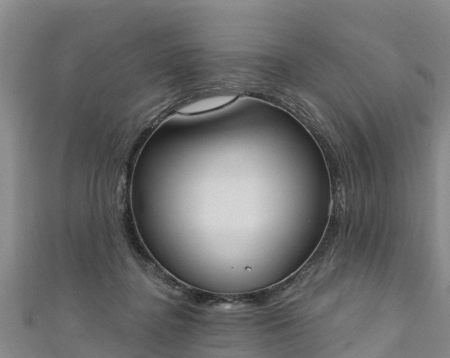 X0000111180364200907081240