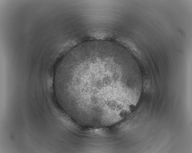 X0000111180365200907081240