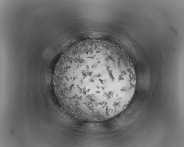 X0000111180367200907081240