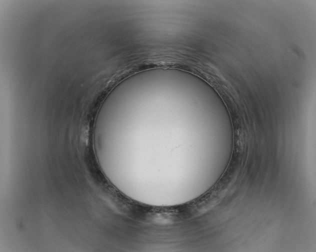 X0000111180368200907081240