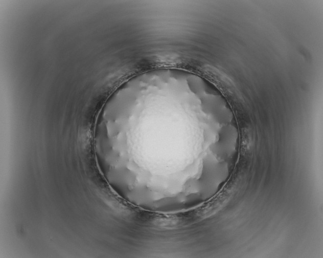 X0000111180369200907081240