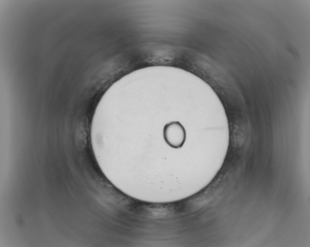 X0000111180370200907081240