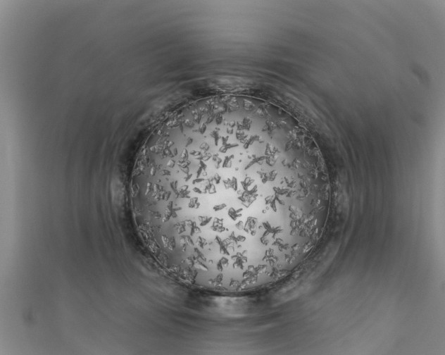 X0000111180371200907081240