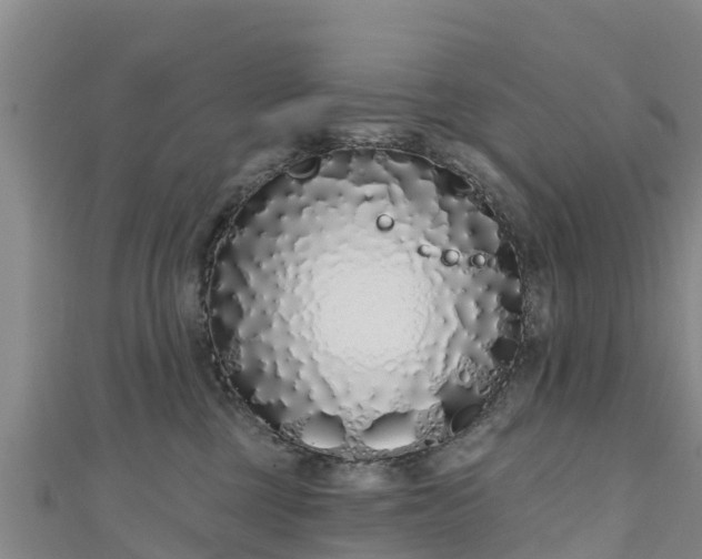 X0000111180377200907081240