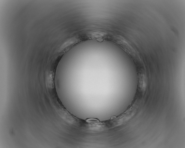 X0000111180378200907081240