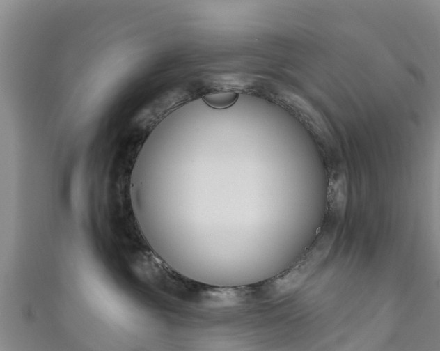 X0000111180381200907081240