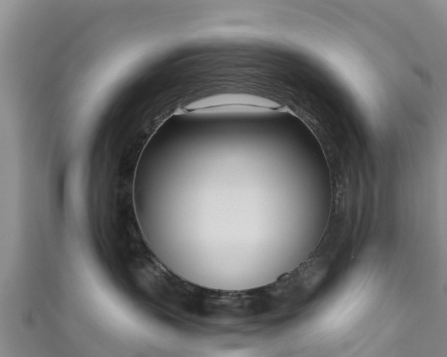 X0000111180383200907081240