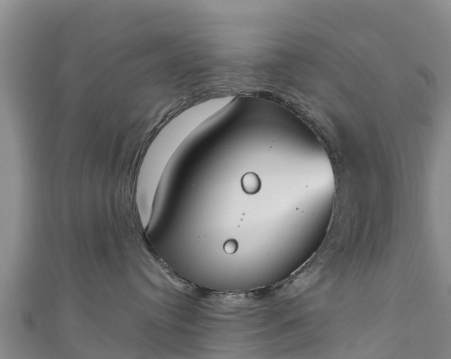 X0000111180384200907081240