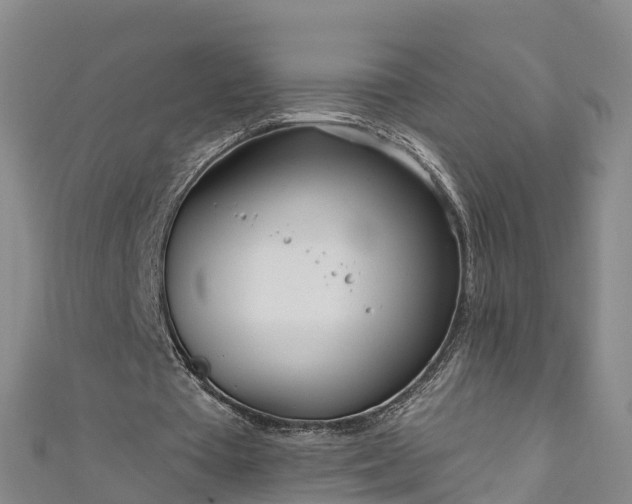 X0000111180385200907081240