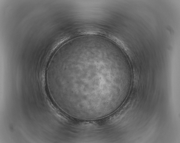 X0000111180386200907081240