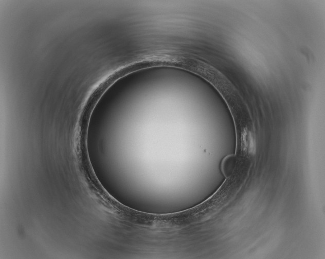 X0000111180388200907081240