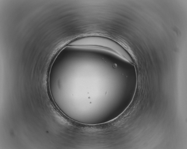 X0000111180389200907081240