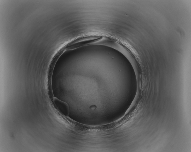 X0000111180391200907081239