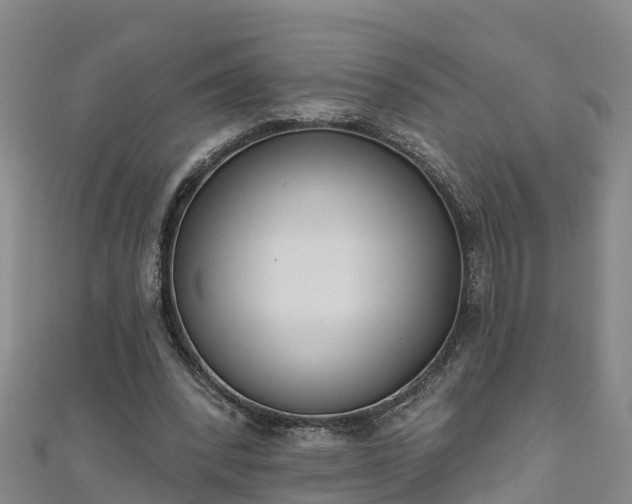 X0000111180392200907081239