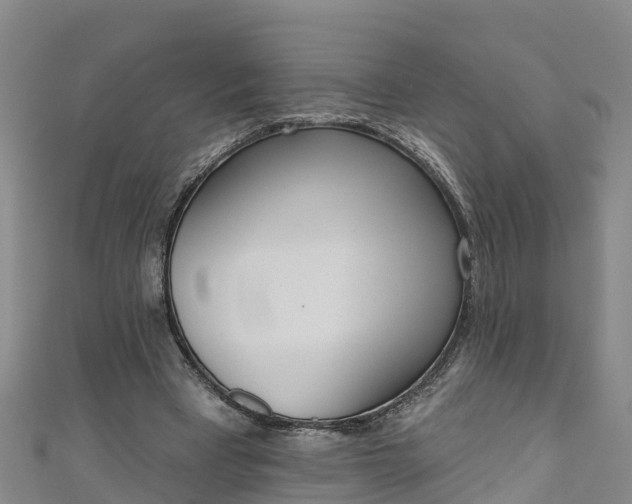 X0000111180393200907081239