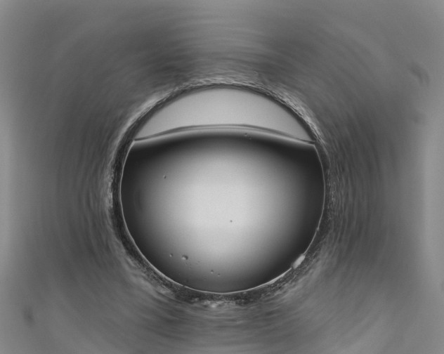 X0000111180395200907081239