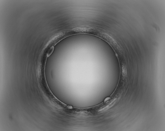 X0000111180396200907081239