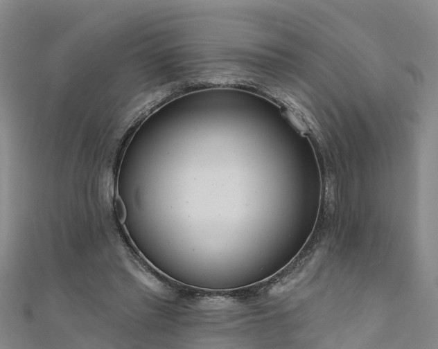 X0000111180397200907081239