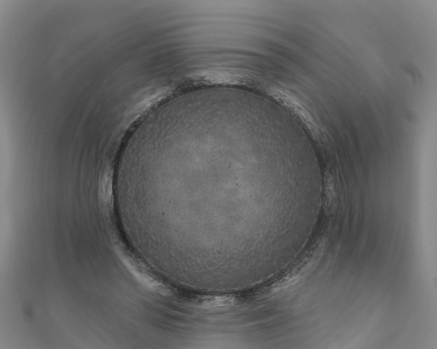 X0000111180398200907081239