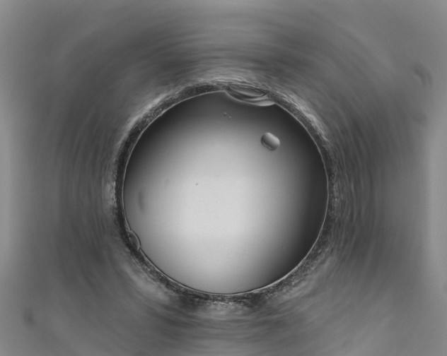 X0000111180399200907081239