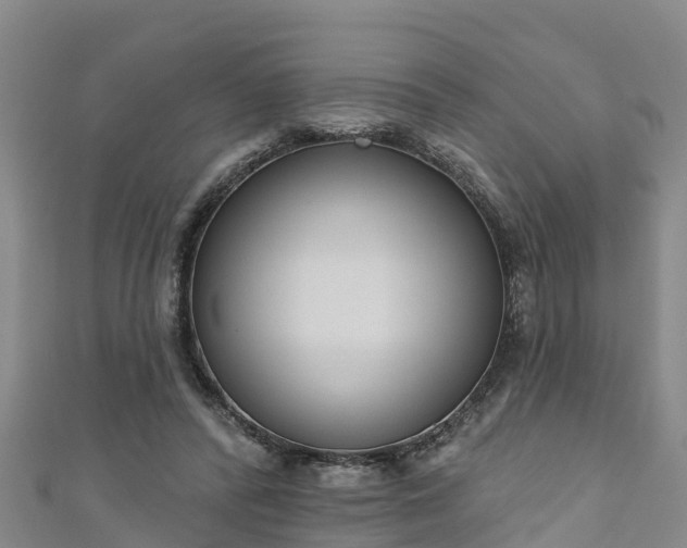 X0000111180400200907081239