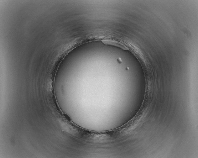 X0000111180401200907081239