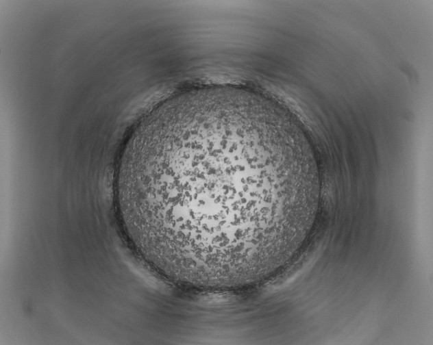 X0000111180402200907081239