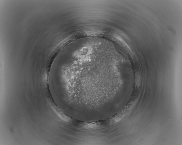 X0000111180405200907081239