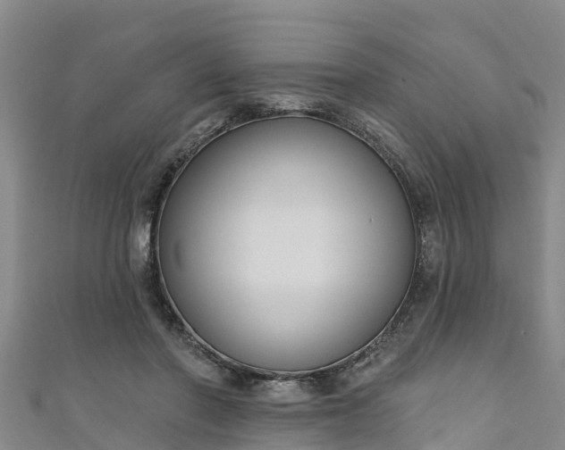 X0000111180406200907081239