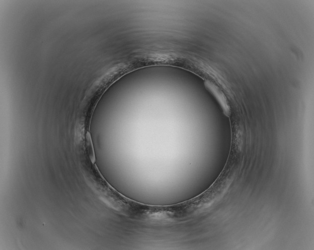 X0000111180407200907081239