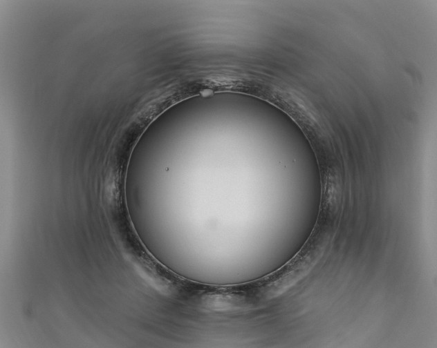 X0000111180408200907081239