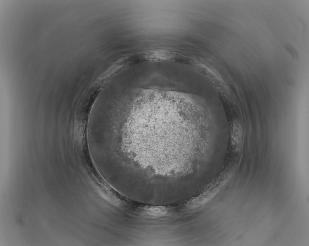 X0000111180409200907081239