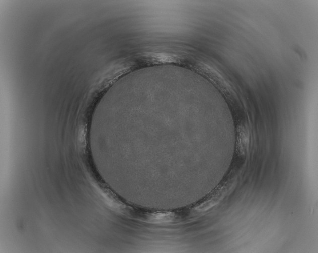 X0000111180410200907081239