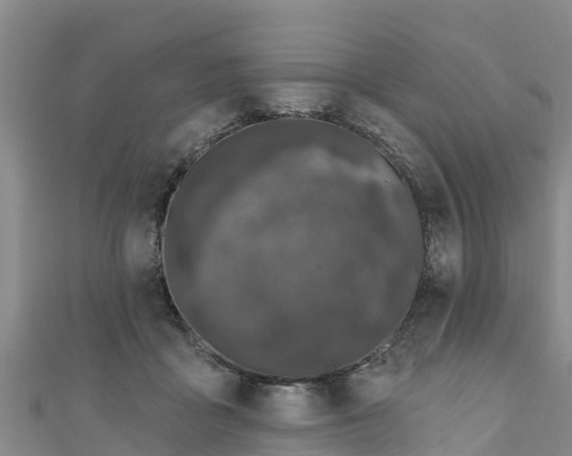 X0000111180411200907081239