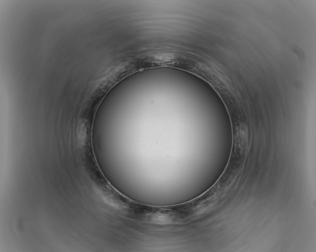 X0000111180412200907081239