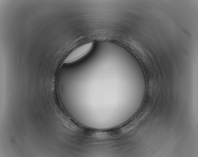 X0000111180413200907081239