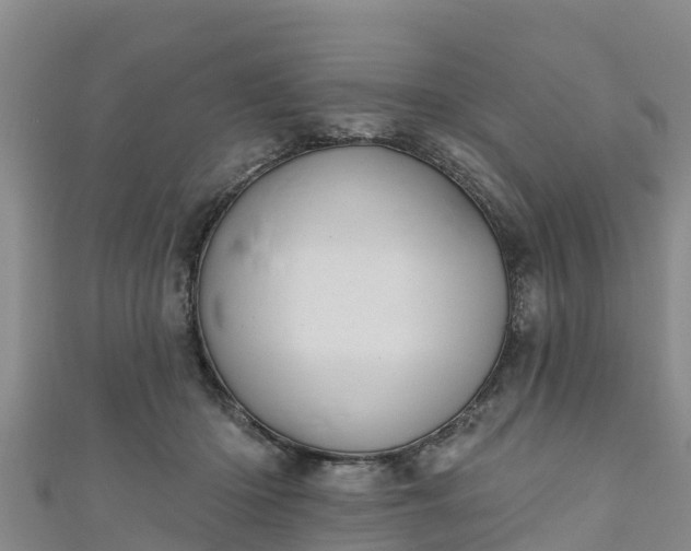 X0000111180414200907081239