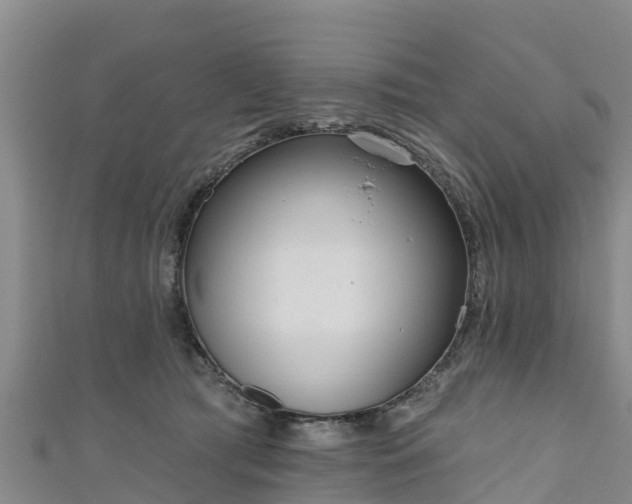 X0000111180417200907081239