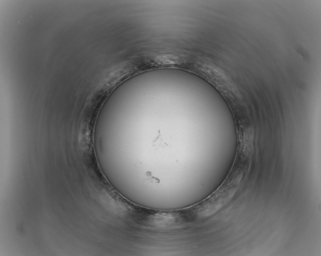 X0000111180418200907081239