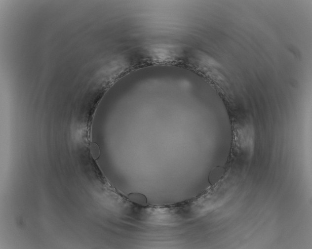 X0000111180419200907081239