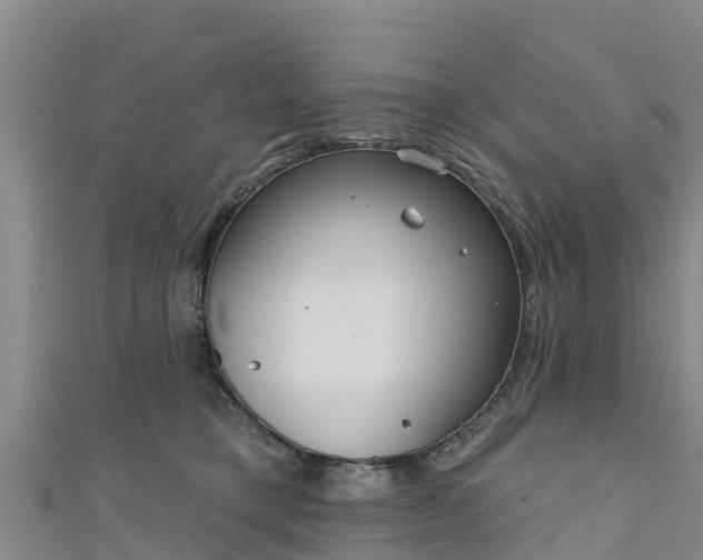 X0000111180421200907081239